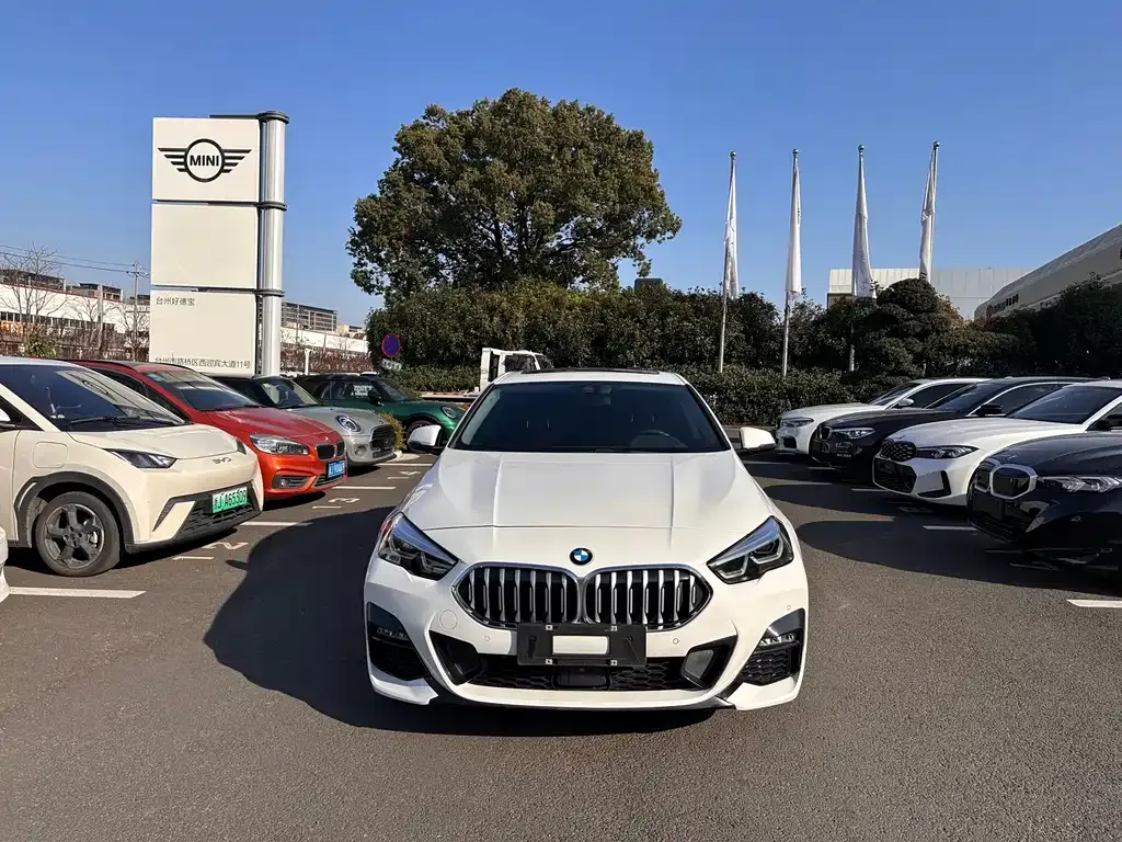 BMW 2 Series (Import) — фото 10