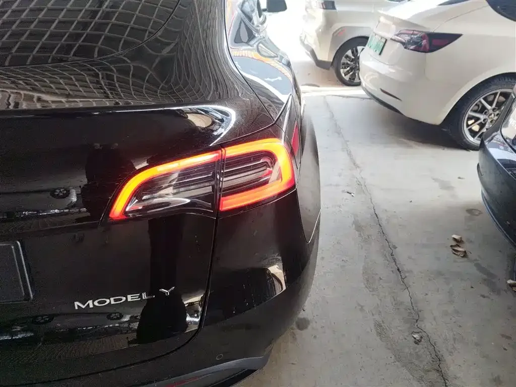 Tesla Model Y — фото 3