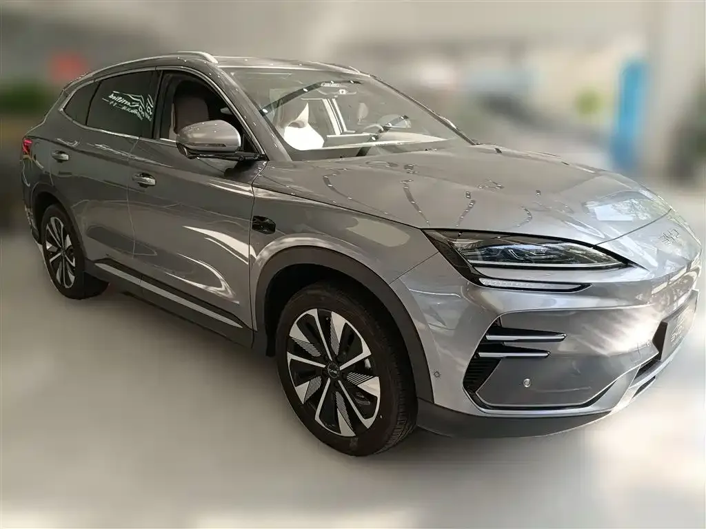 BYD PLUS New Energy — фото 8