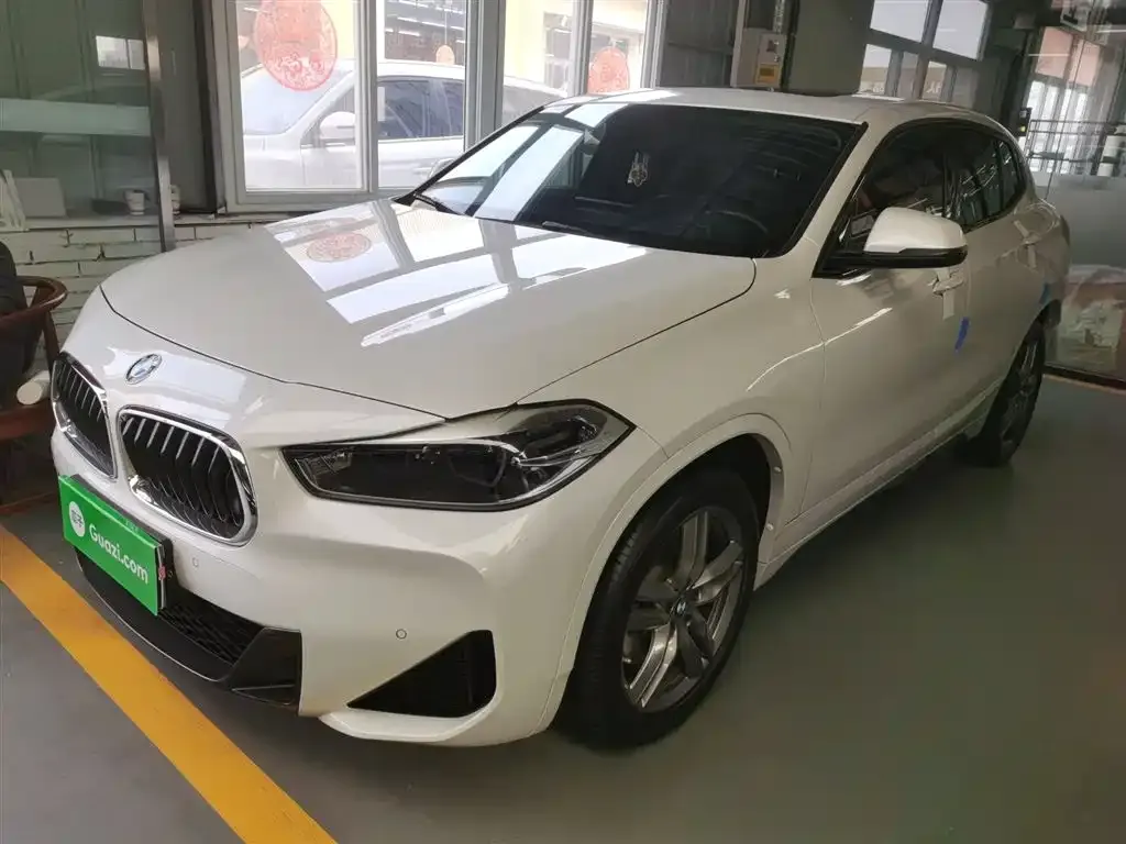 BMW X2 — фото 1