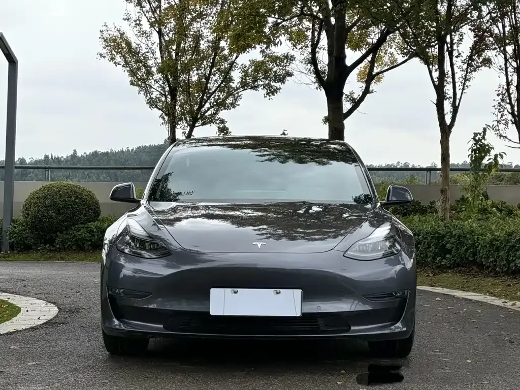 Tesla Model 3 — фото 4