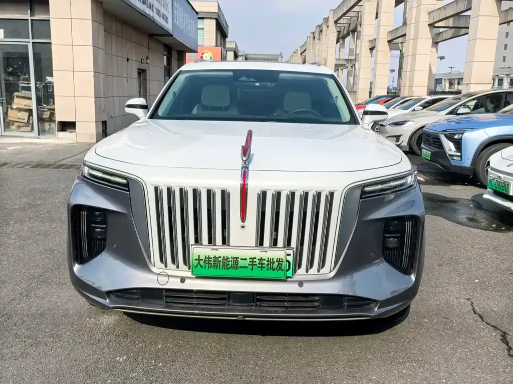 Hongqi E-HS9 — фото 10