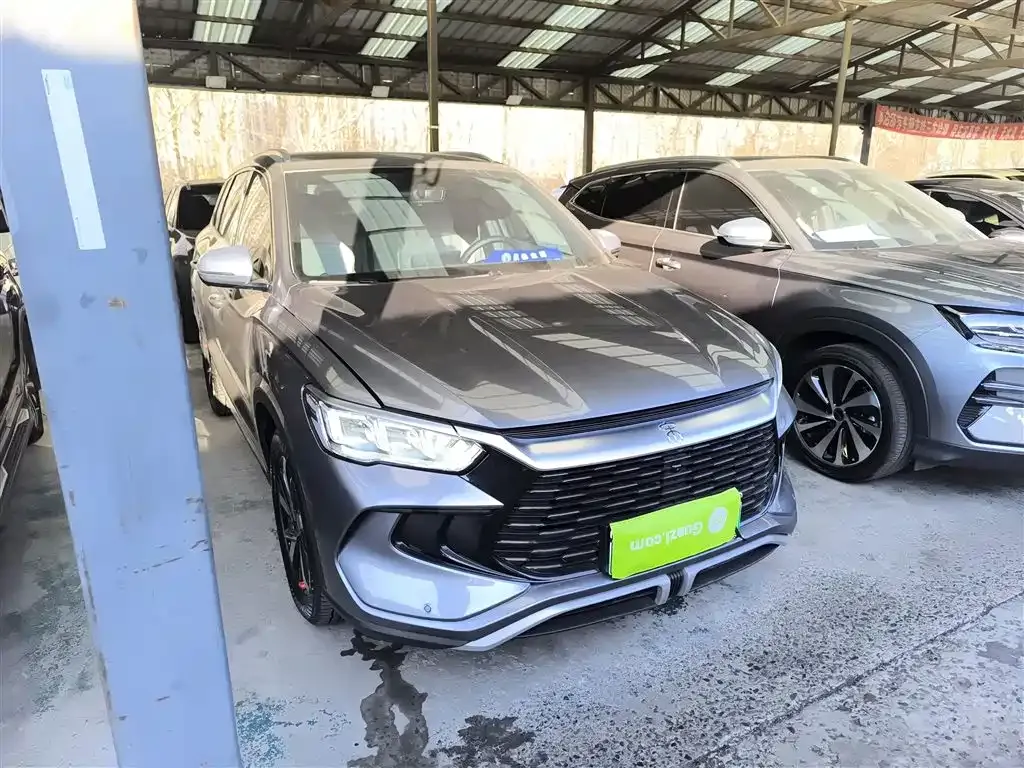 BYD Pro New Energy — фото 4