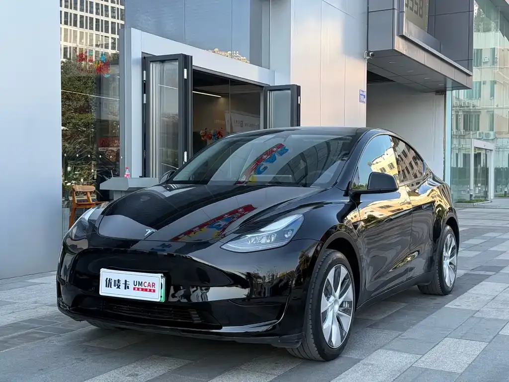 Tesla Model Y — фото 1