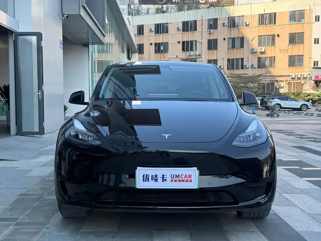 Tesla Model Y — фото 7