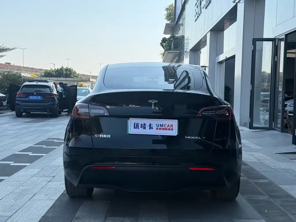 Tesla Model Y — фото 10