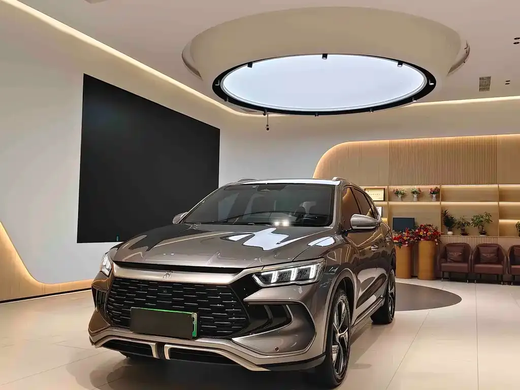 BYD Pro New Energy — фото 1