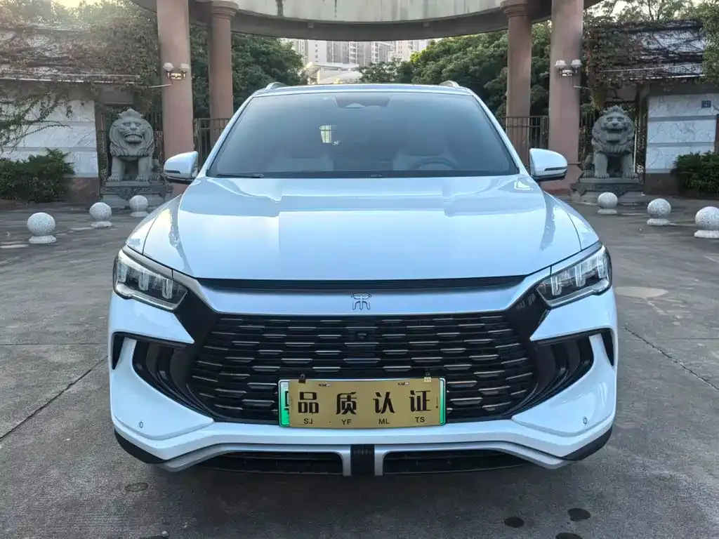 BYD Pro New Energy — фото 1