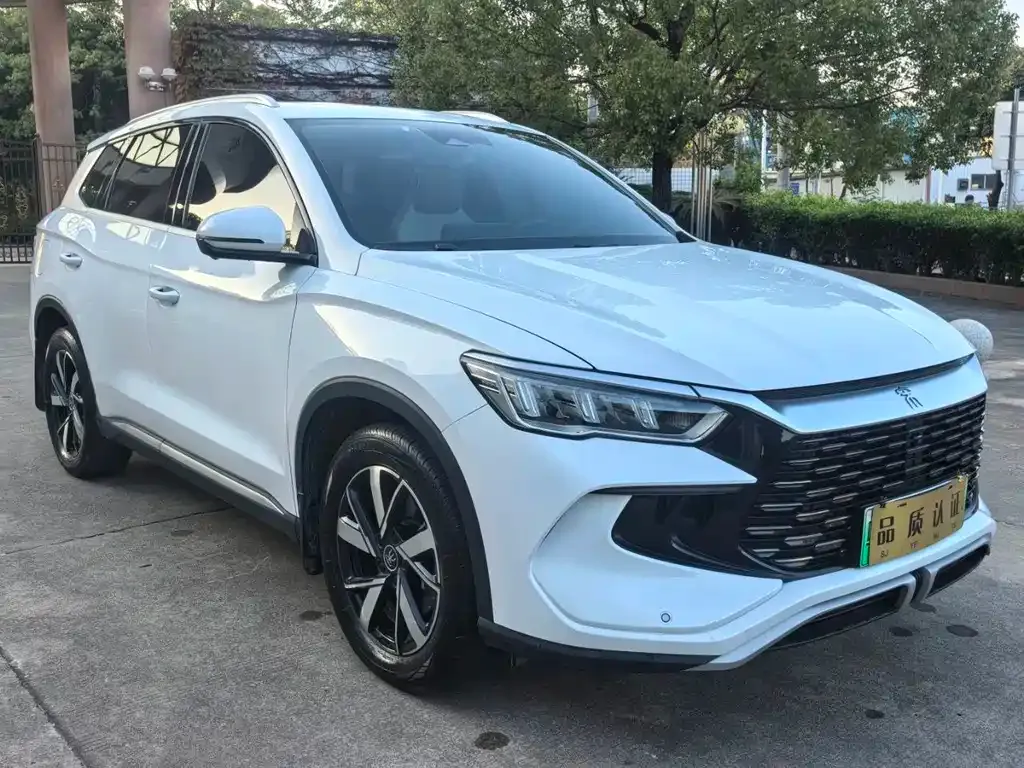 BYD Pro New Energy — фото 2