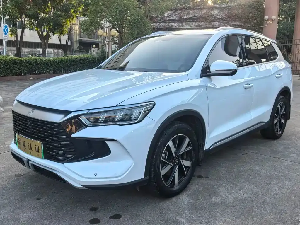 BYD Pro New Energy — фото 3
