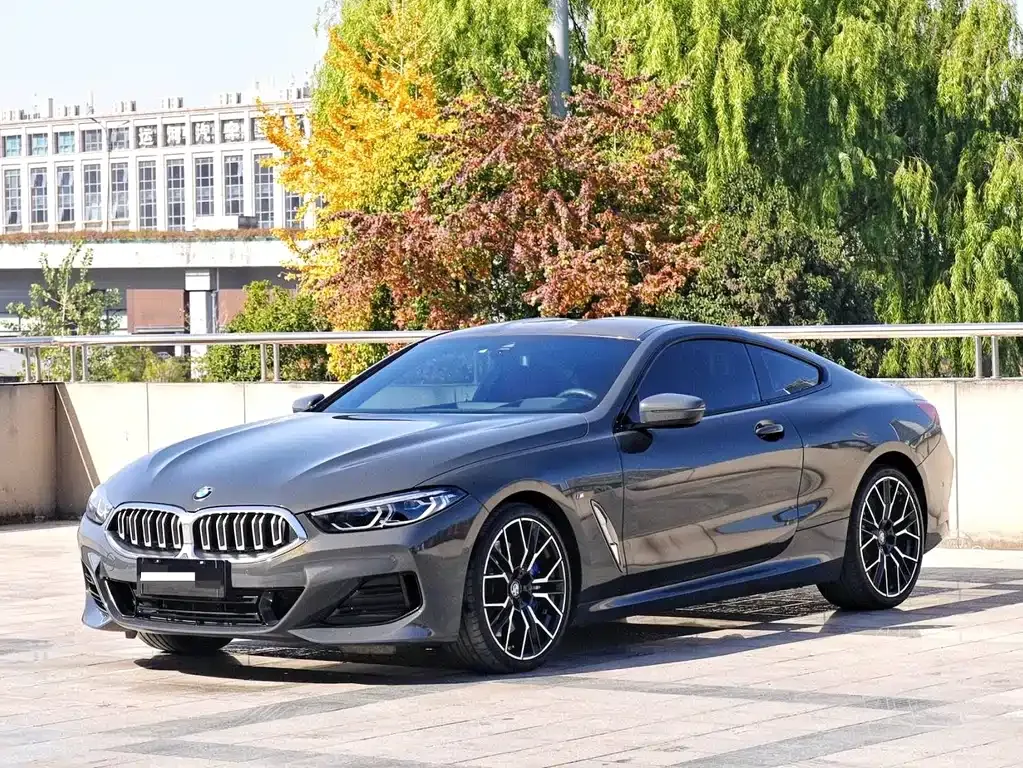 BMW 8 Series — фото 1