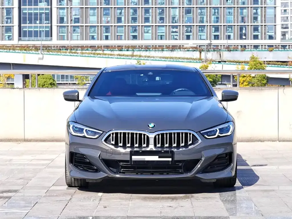 BMW 8 Series — фото 4