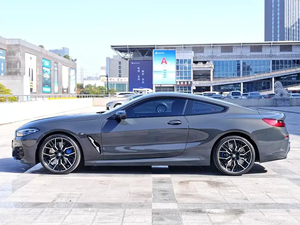 BMW 8 Series — фото 10