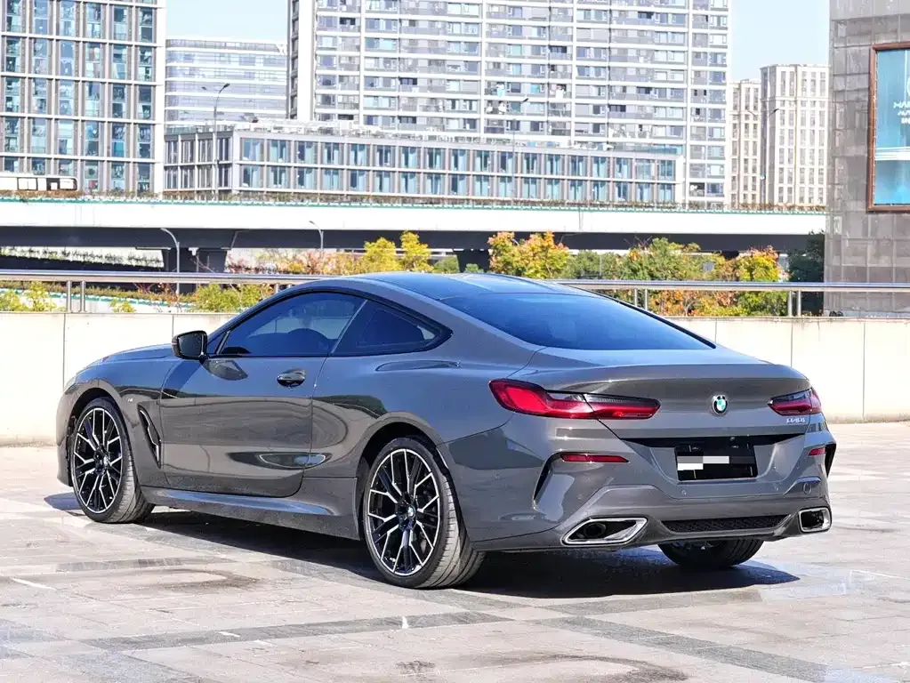 BMW 8 Series — фото 8