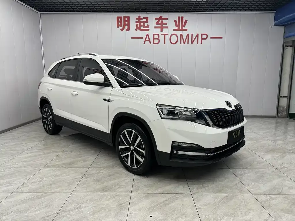 Skoda Kamiq — фото 4
