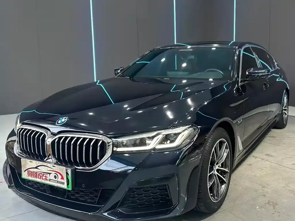 BMW 5 Series New Energy — фото 1