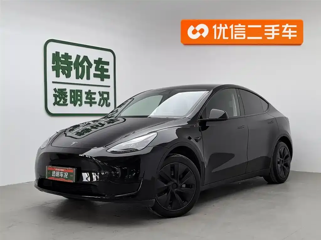 Tesla Model Y — фото 1