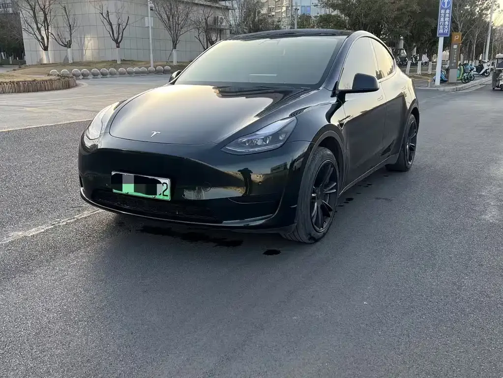 Tesla Model Y — фото 1
