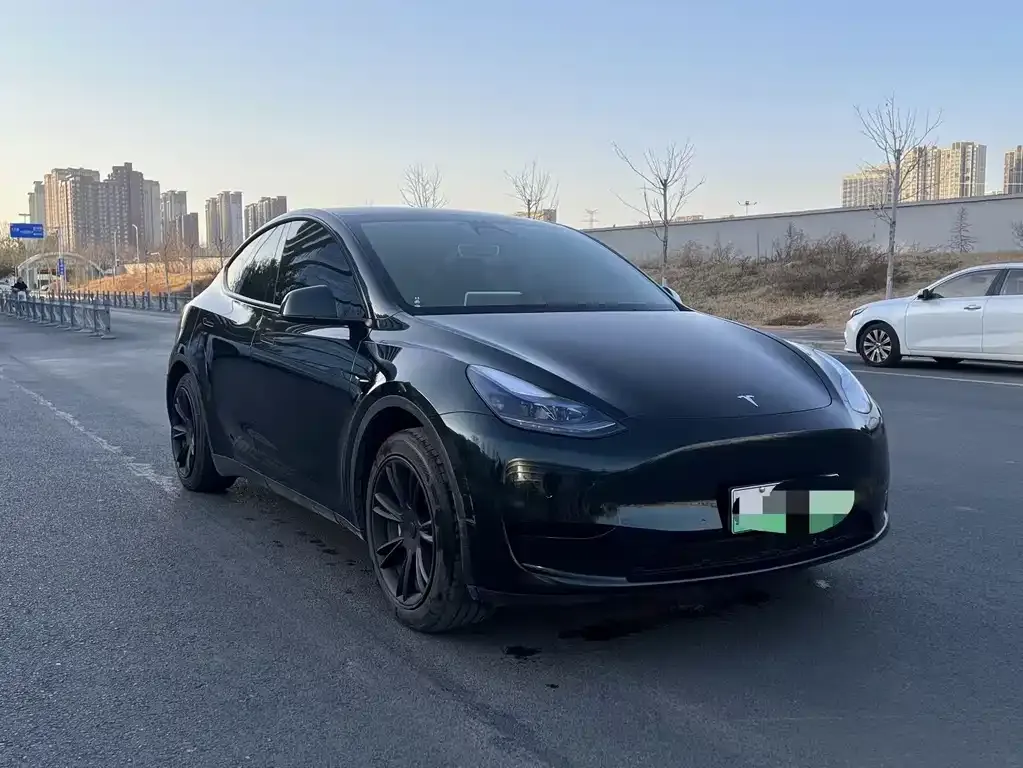 Tesla Model Y — фото 6