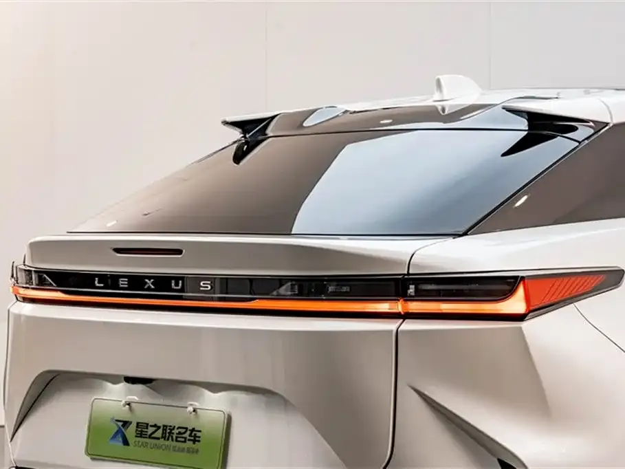Lexus RZ — фото 10