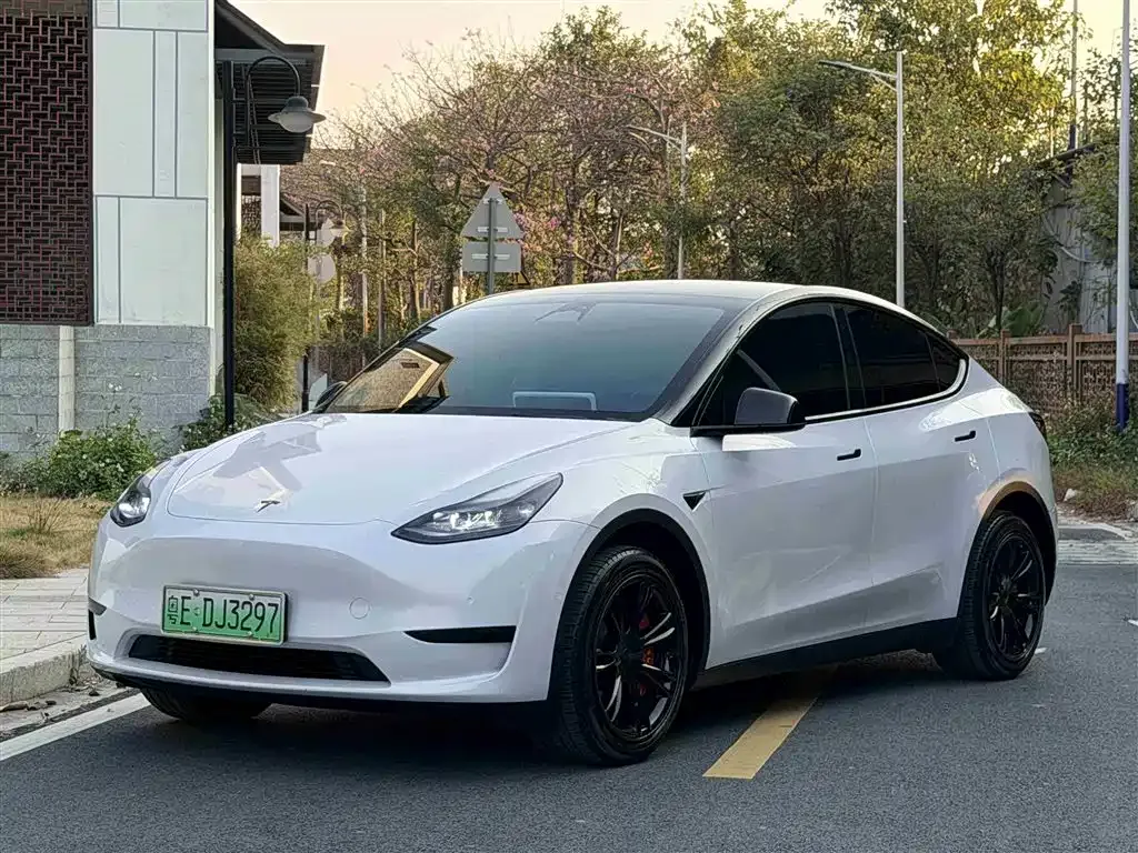 Tesla Model Y — фото 1