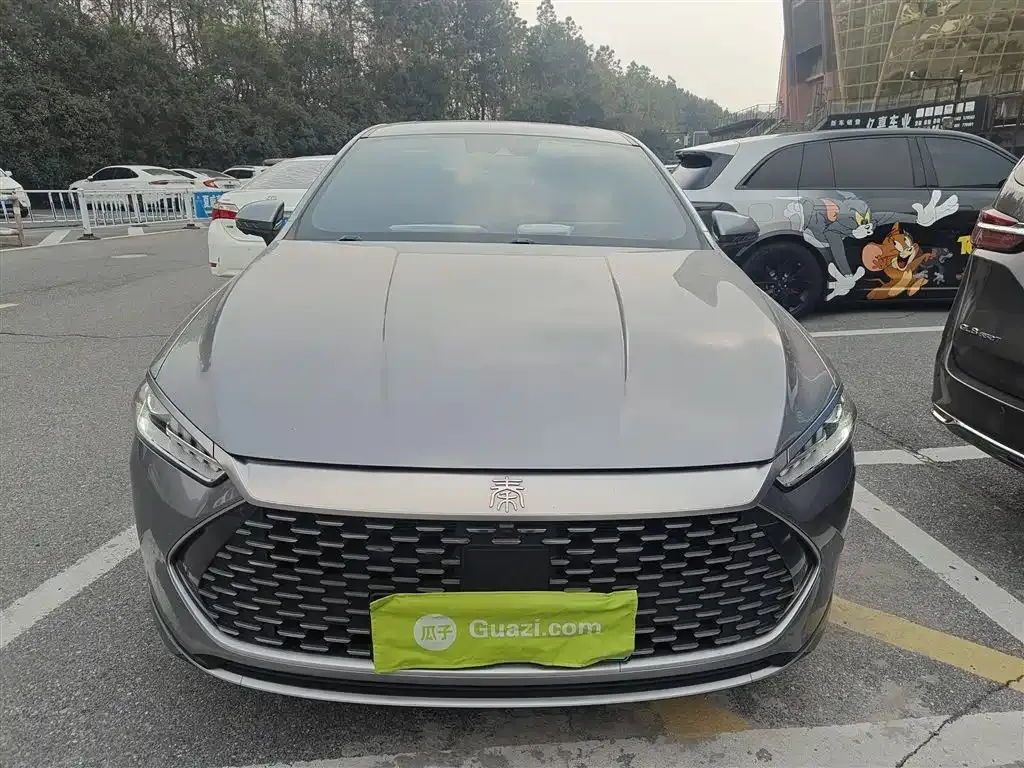 BYD Qin PLUS — фото 6