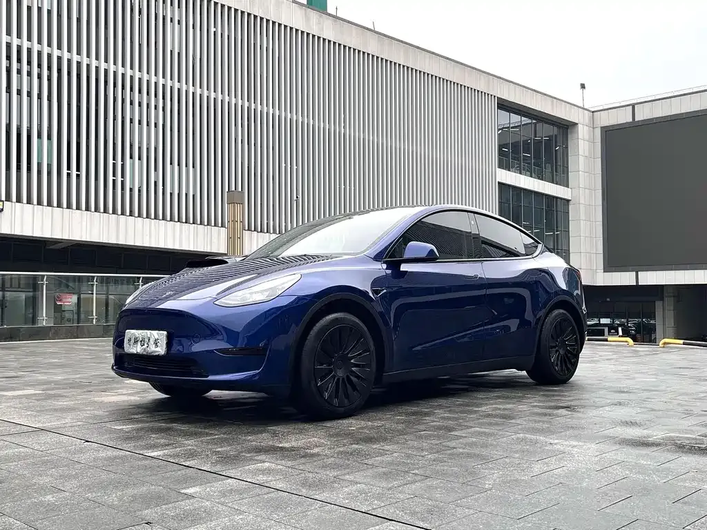 Tesla Model Y — фото 1