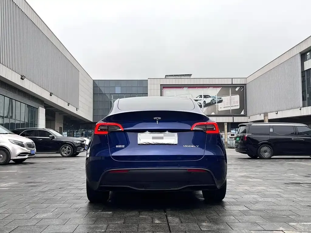 Tesla Model Y — фото 3