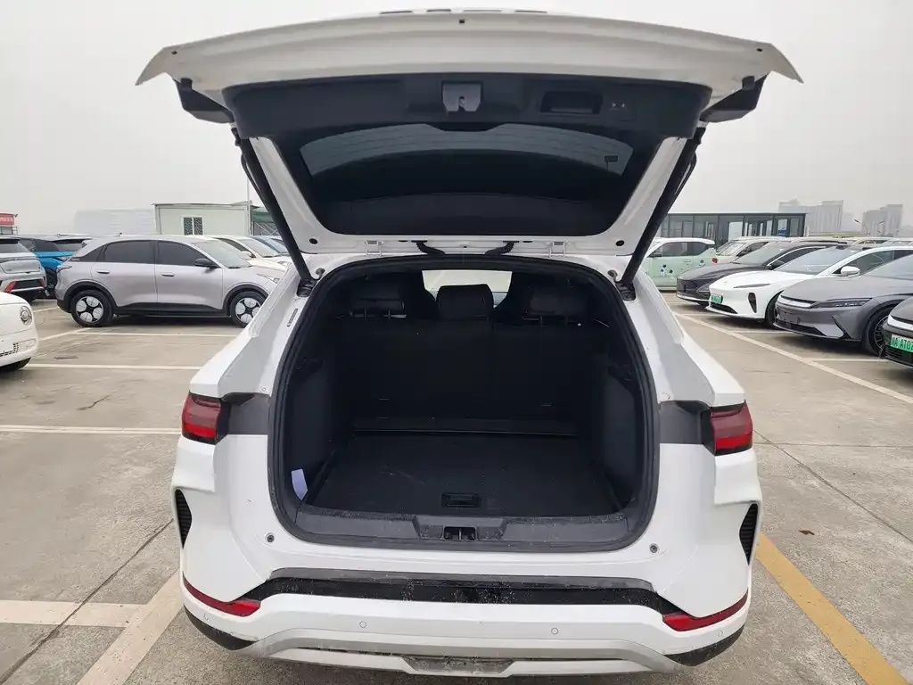BYD PLUS New Energy — фото 10