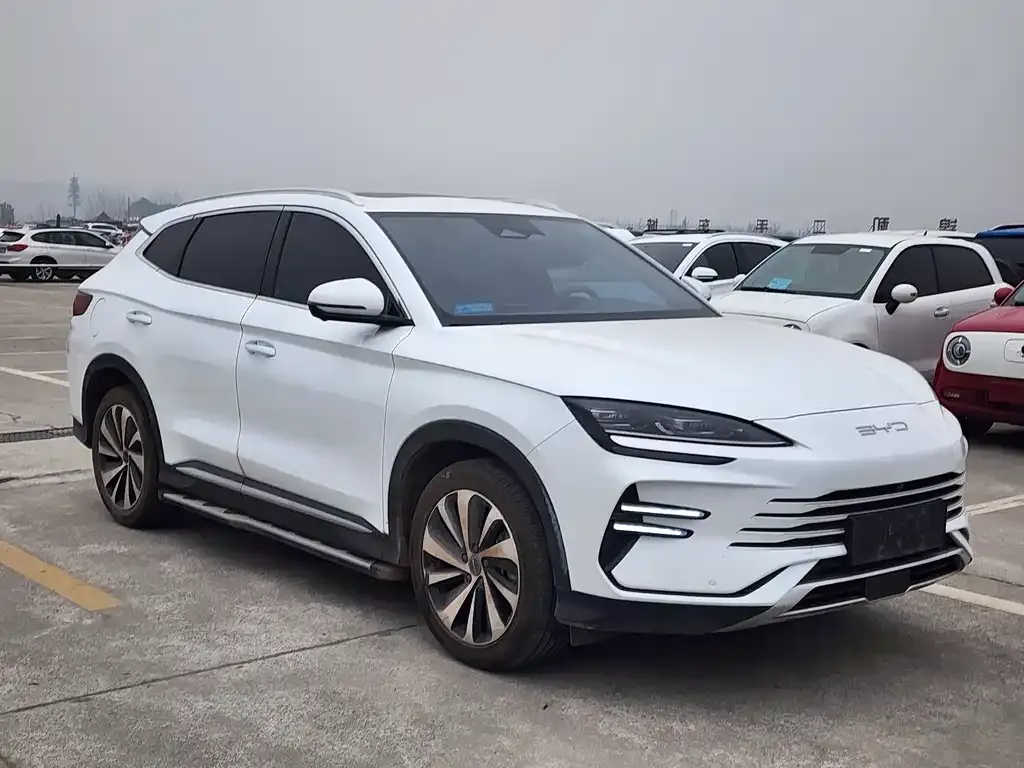 BYD PLUS New Energy — фото 9