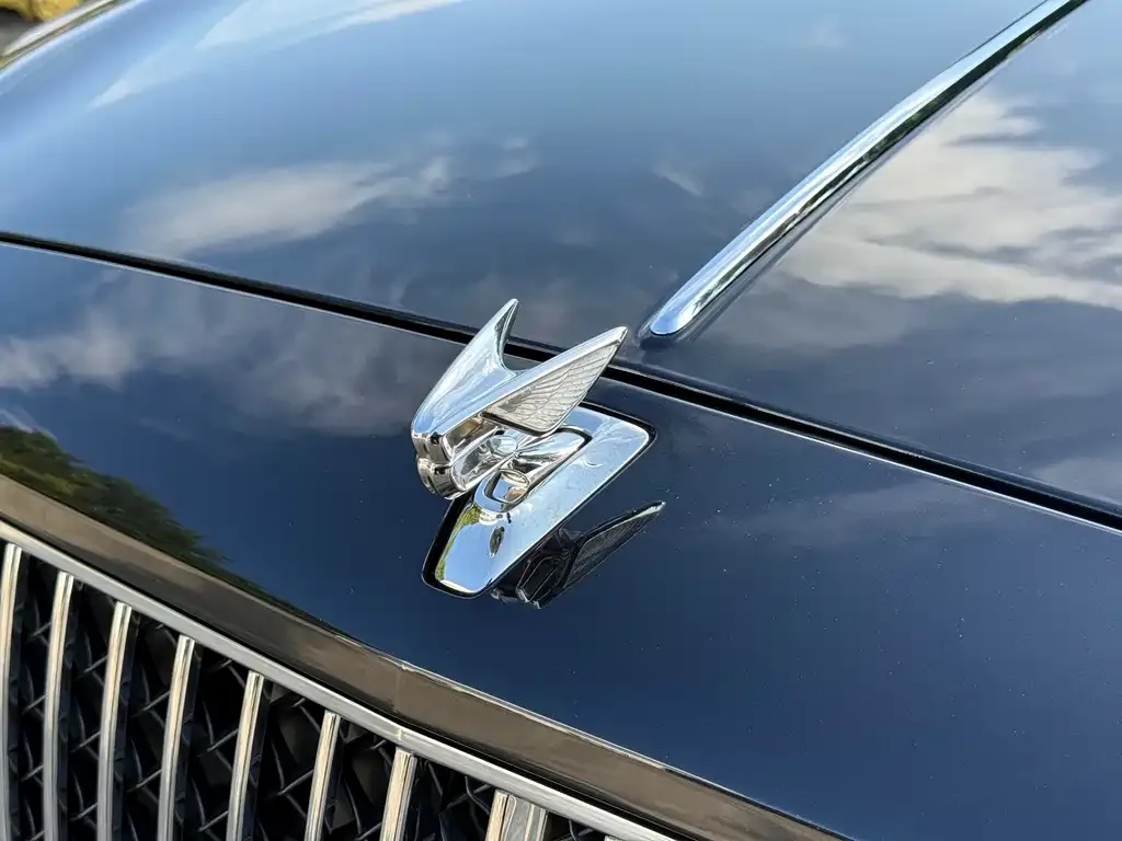 Bentley Flying Spur — фото 5