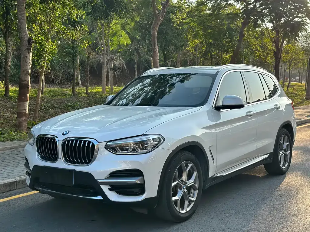 BMW X3 — фото 1