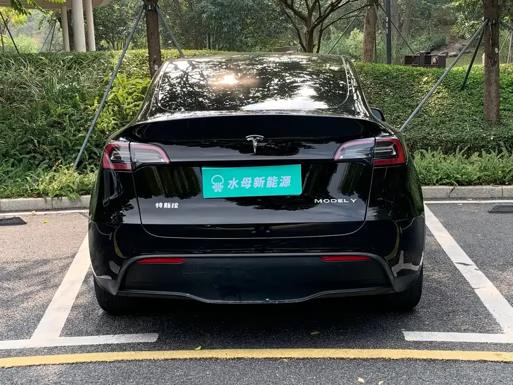 Tesla Model Y — фото 6