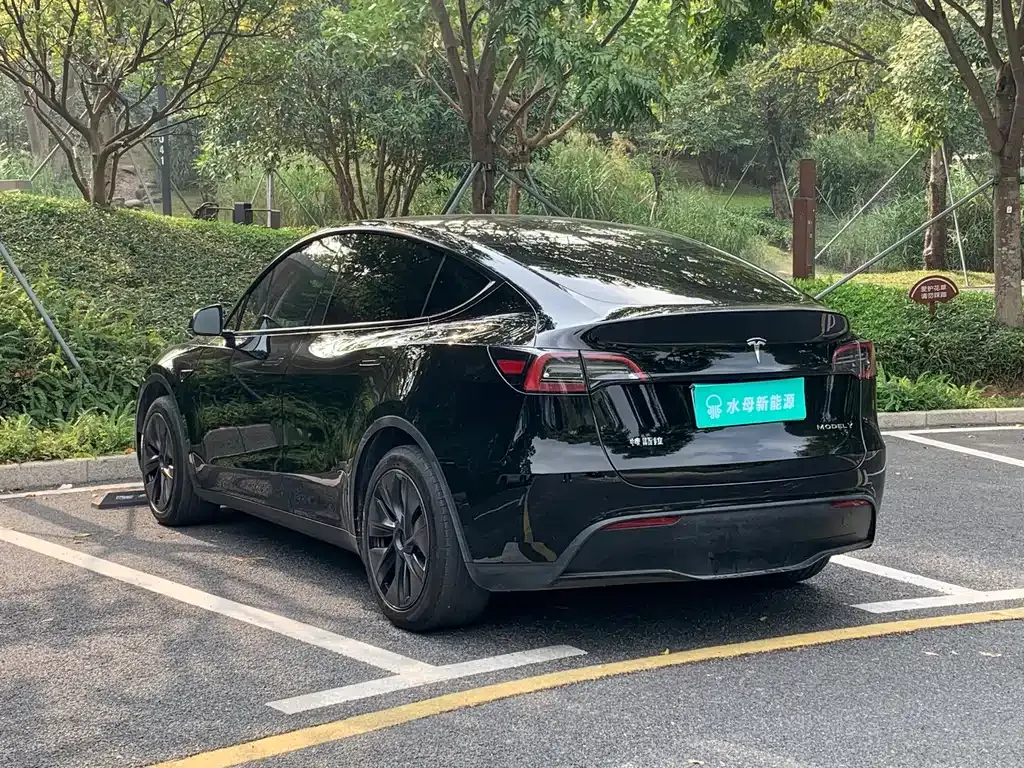 Tesla Model Y — фото 8