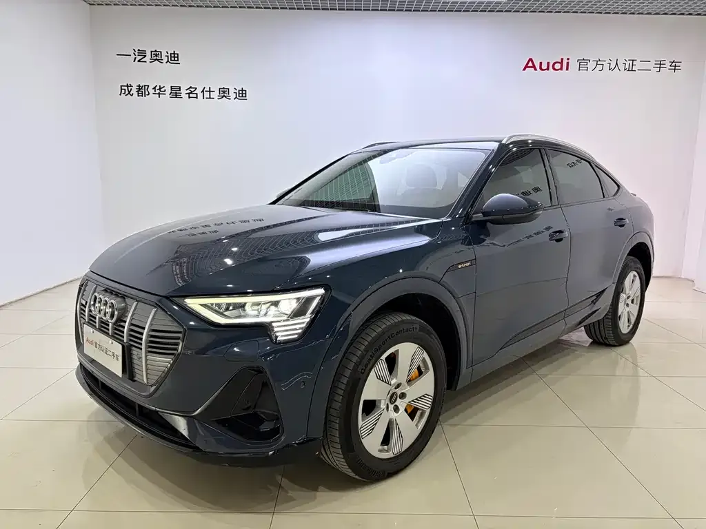 Audi e-tron (Import) — фото 1
