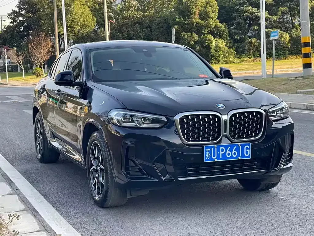 BMW X4 — фото 10