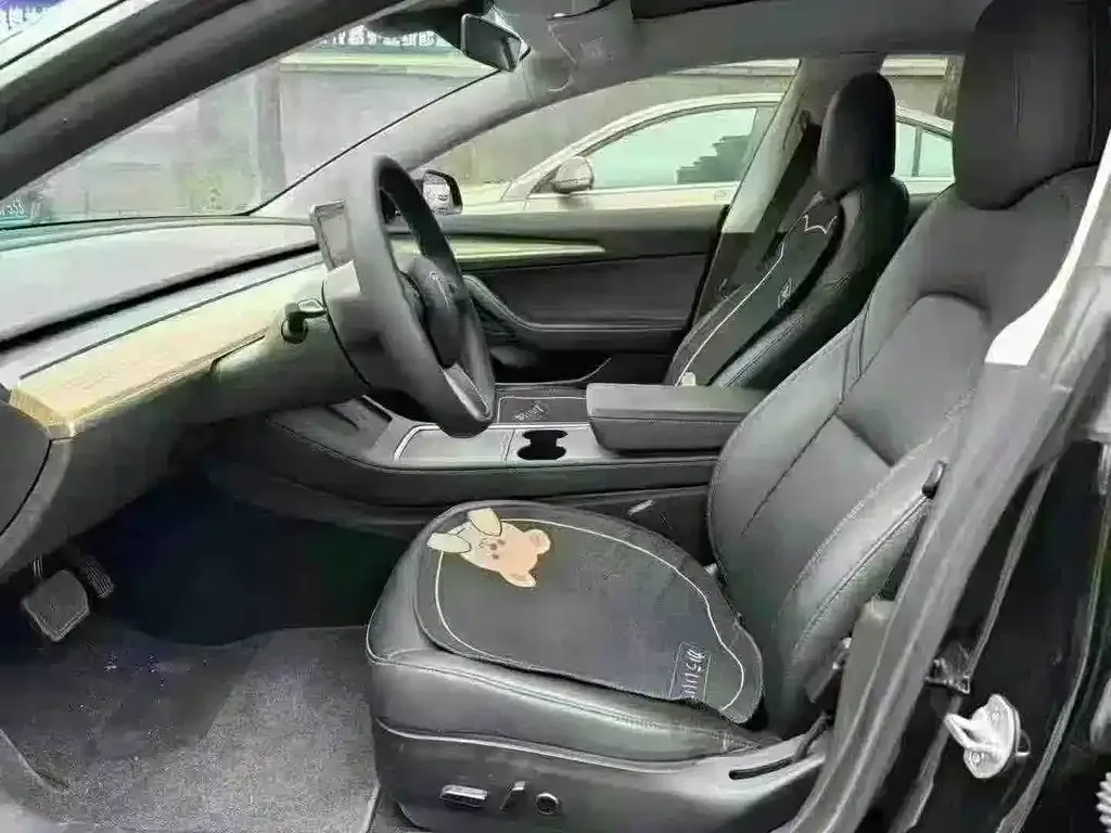 Tesla Model 3 — фото 2