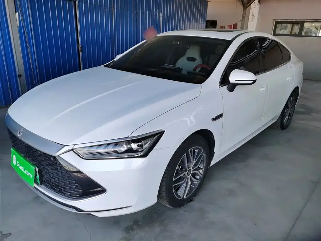 BYD Qin PLUS — фото 1