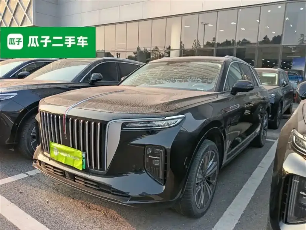 Hongqi E-HS9 — фото 1
