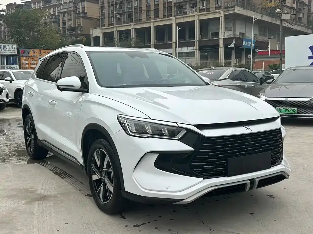 BYD Pro New Energy — фото 1