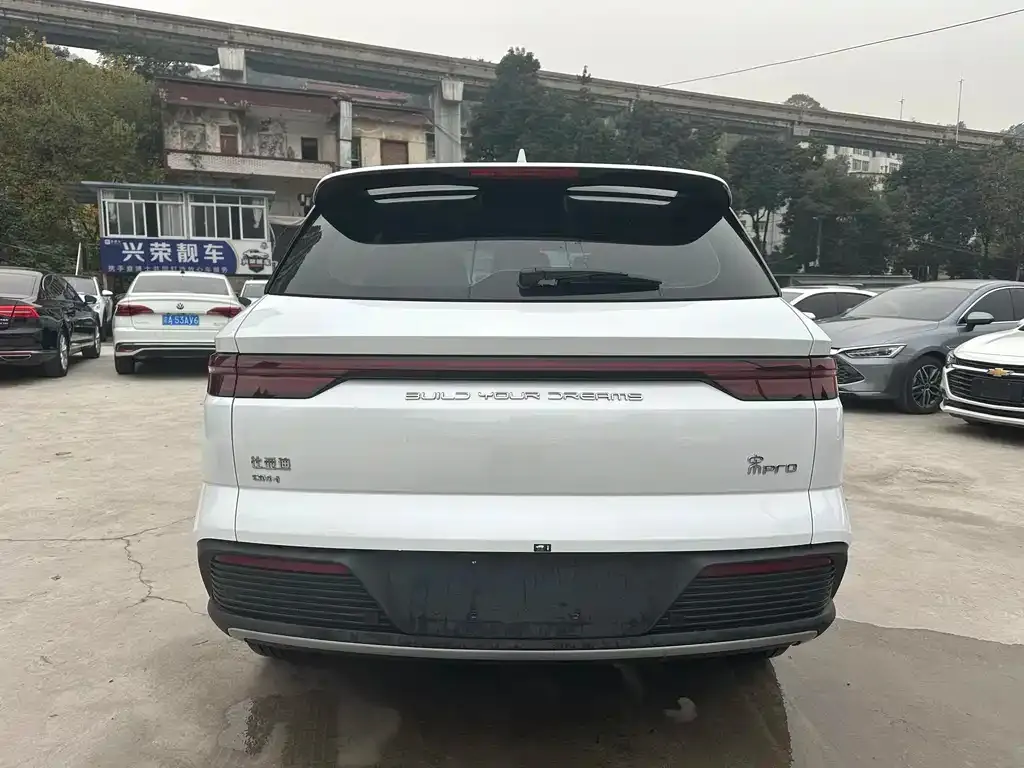 BYD Pro New Energy — фото 4