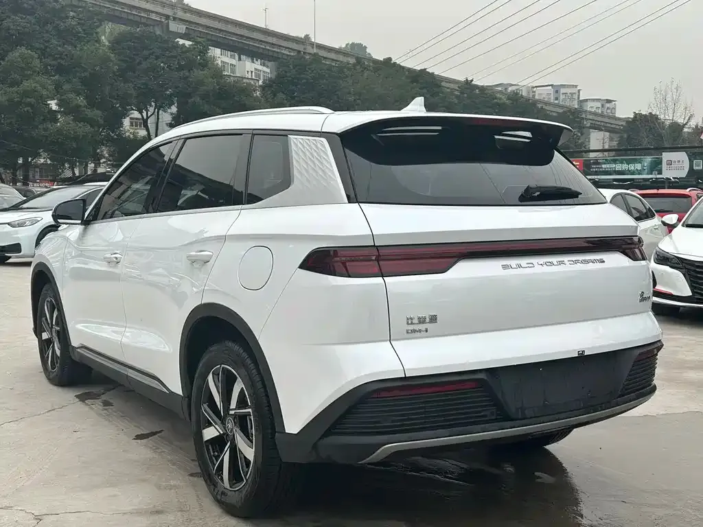 BYD Pro New Energy — фото 6