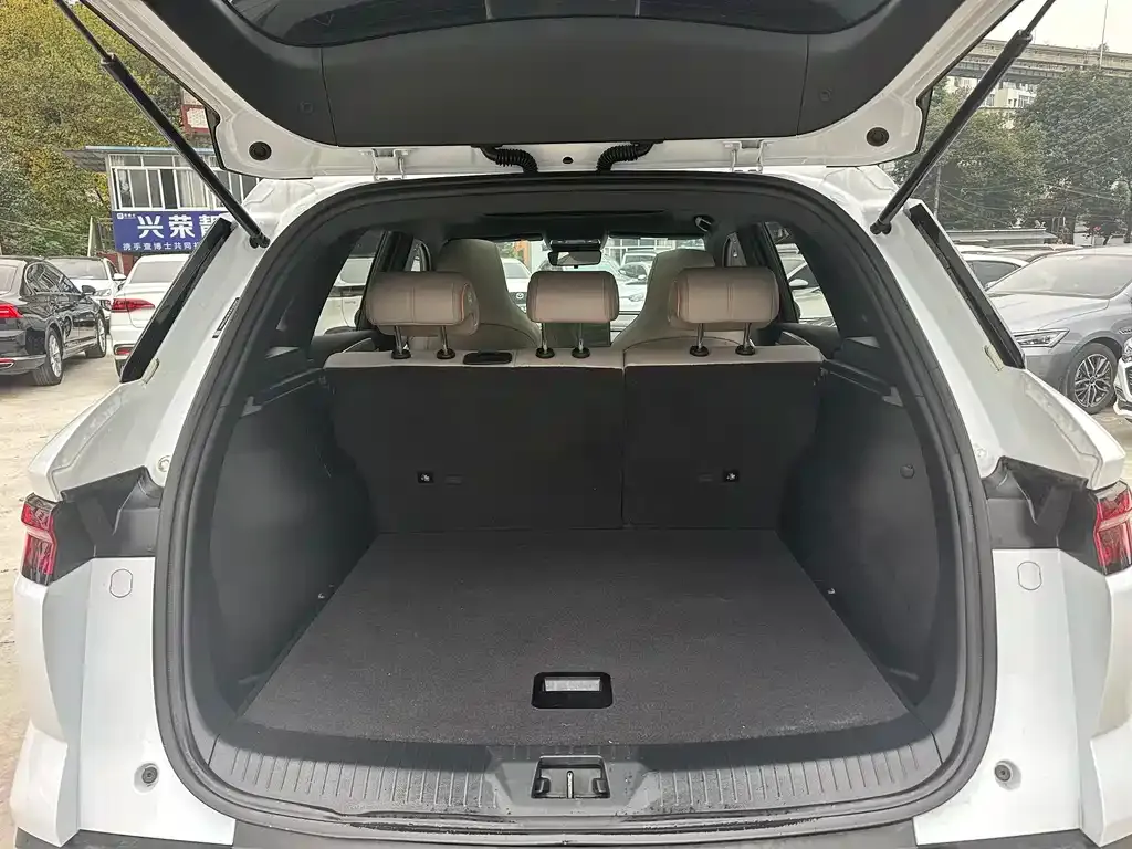 BYD Pro New Energy — фото 8