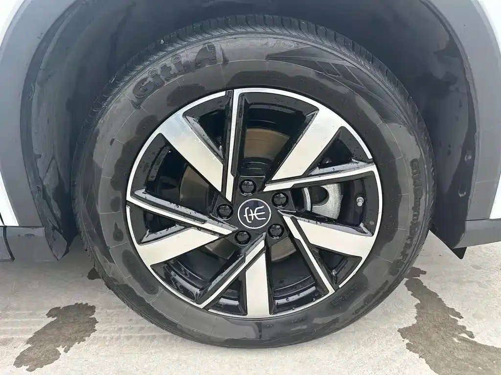 BYD Pro New Energy — фото 9