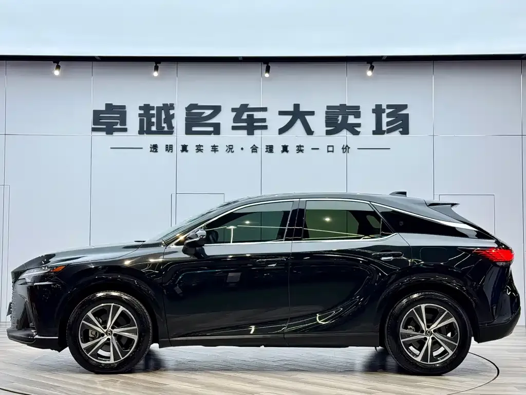 Lexus RX — фото 10