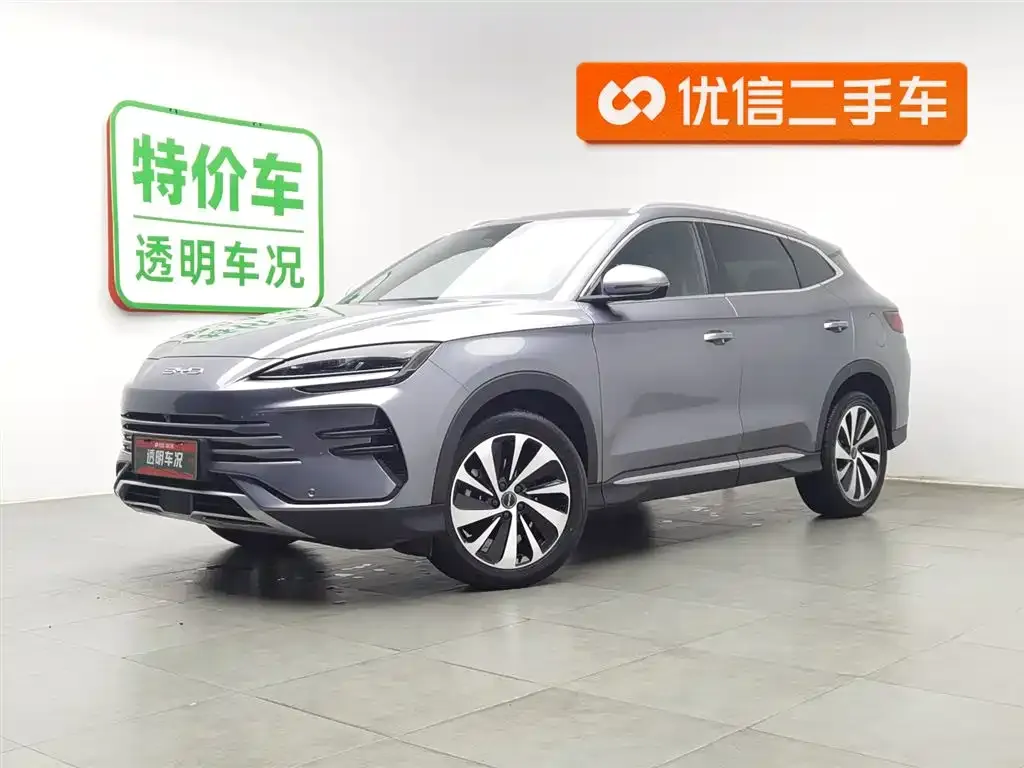 BYD PLUS New Energy — фото 1