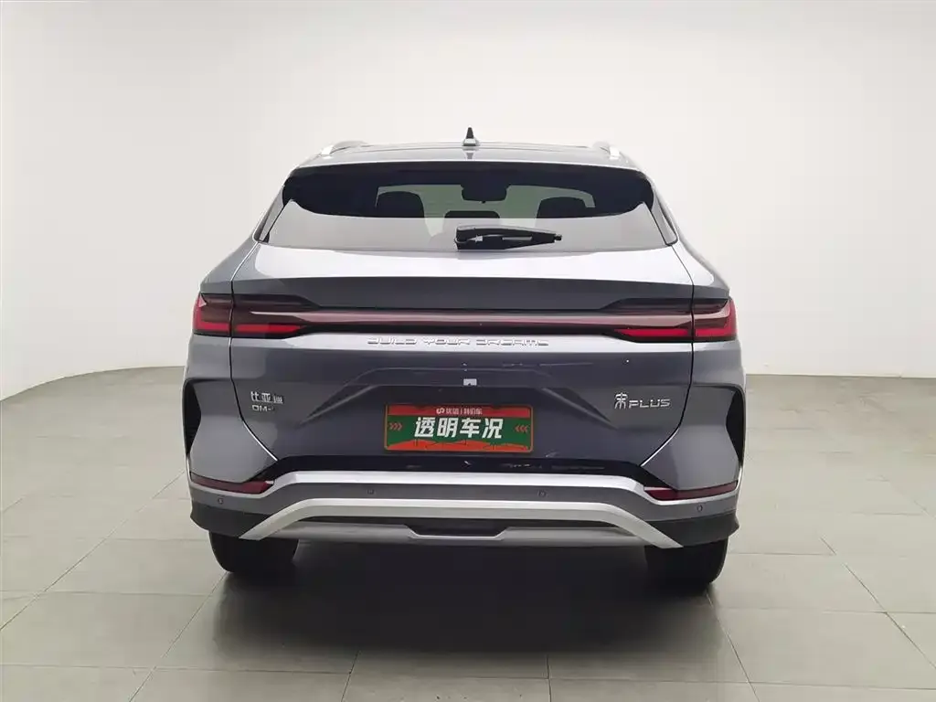 BYD PLUS New Energy — фото 4