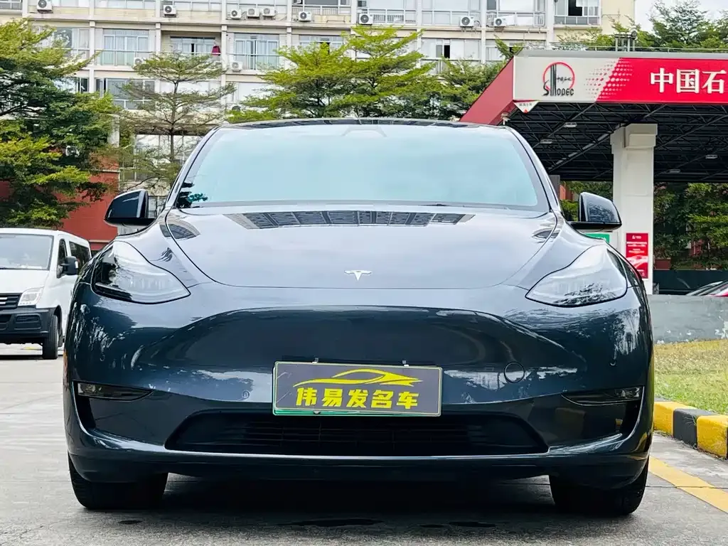 Tesla Model Y — фото 2
