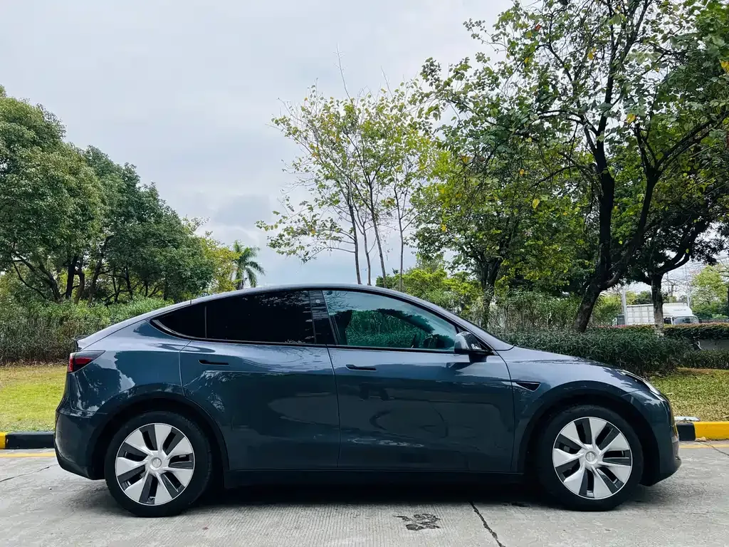Tesla Model Y — фото 3