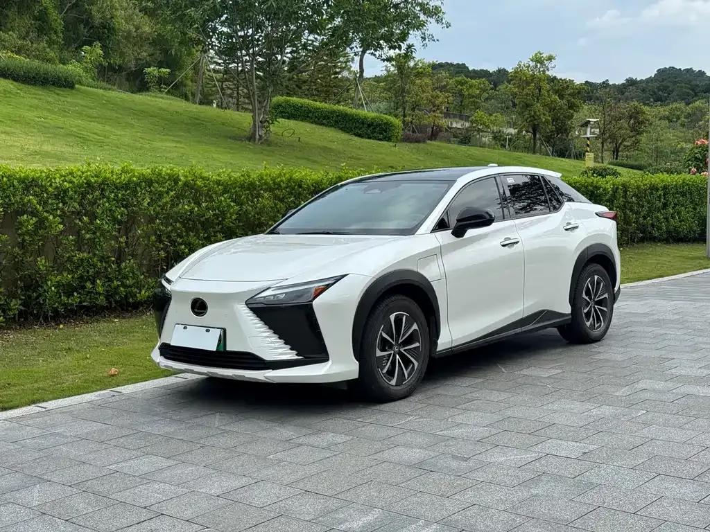 Lexus RZ — фото 1